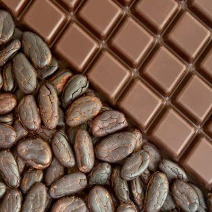 From cocoa bean to chocolate