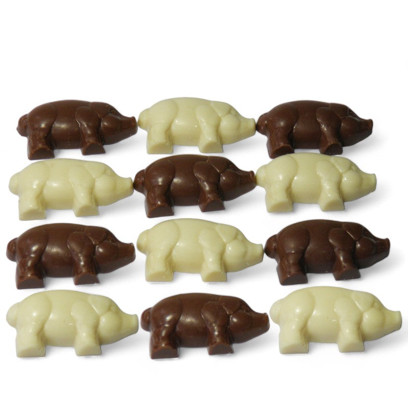 Chocolate Pigs