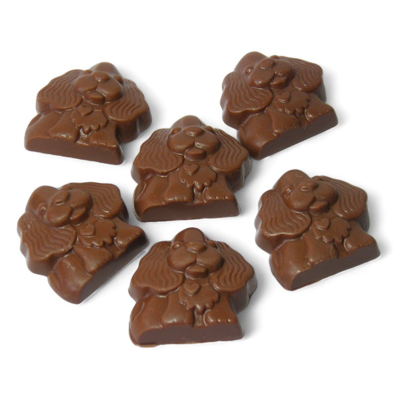 Chocolate Spaniels