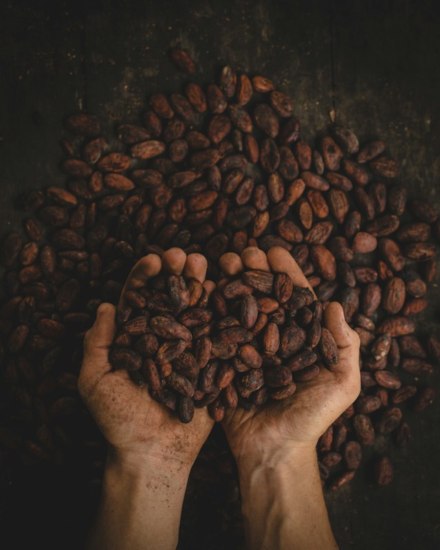 Is 100 cocoa chocolate good for you?