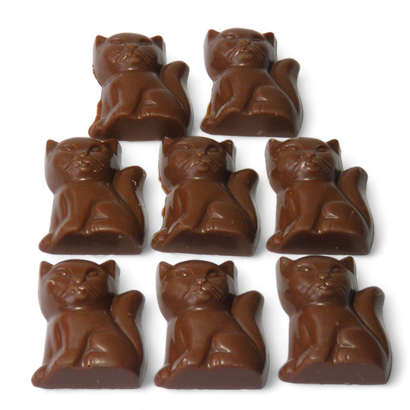 Chocolate Cats