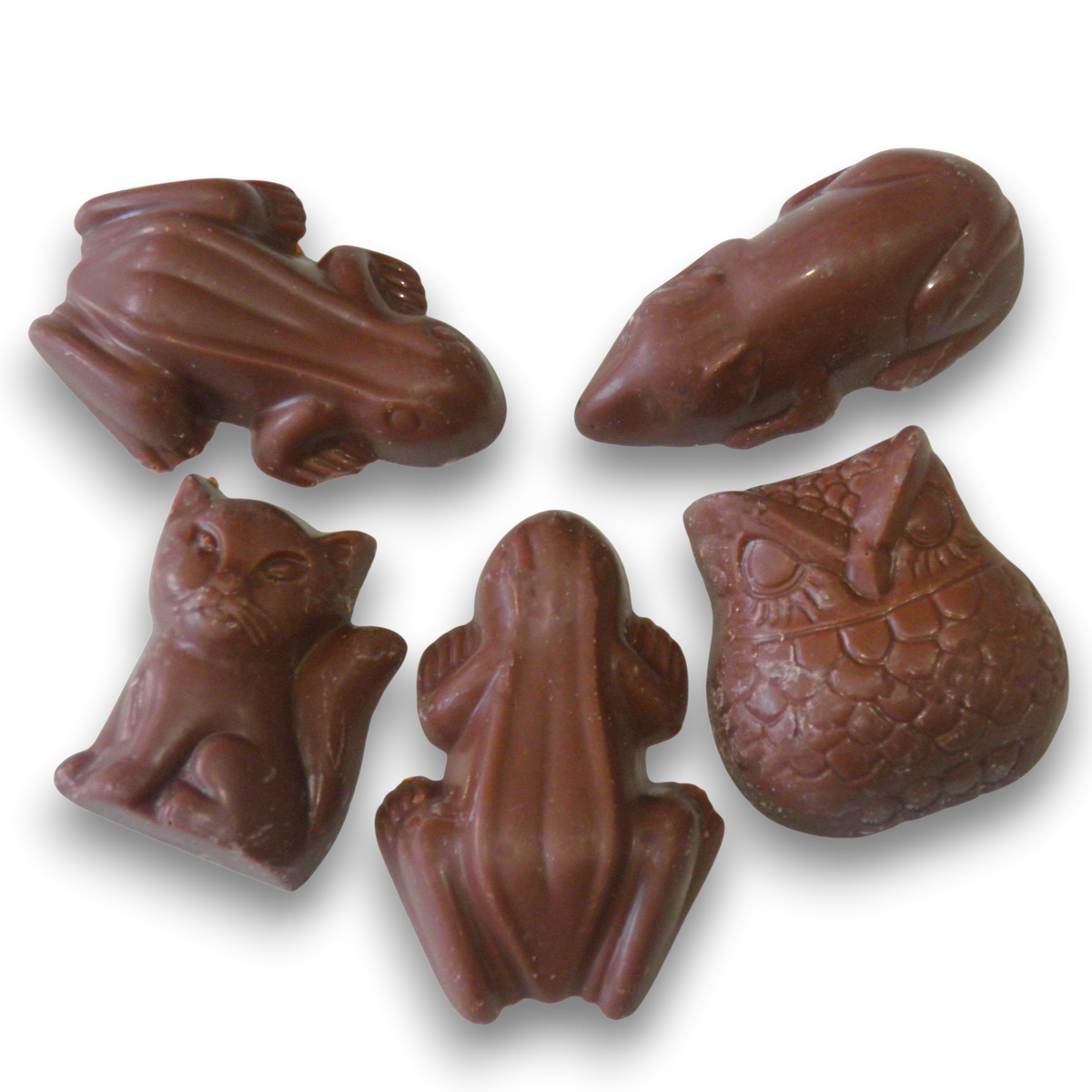 Halloween Black Coffin Treat Box
